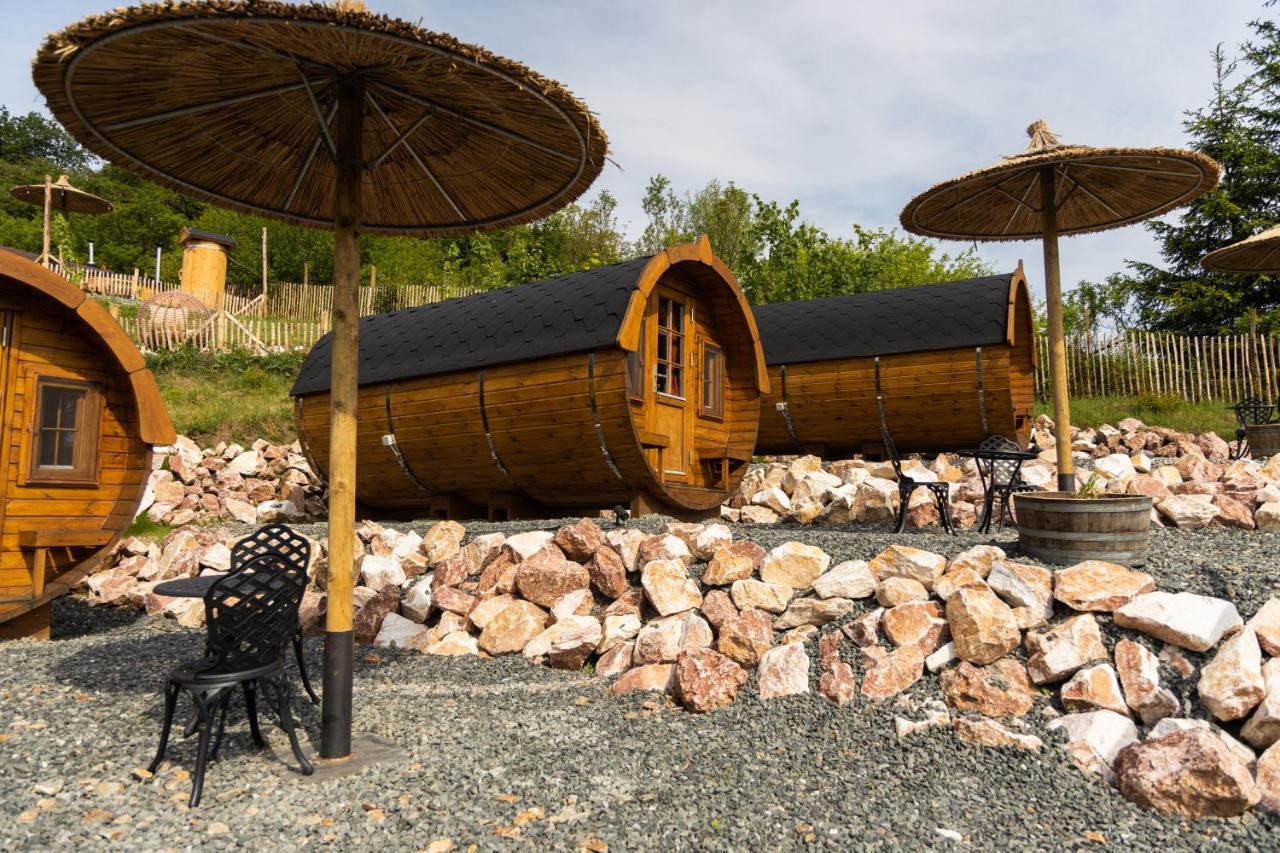 Complex Butoaiele Transilvaniei - Cazare & Spa - Natura - Relaxare Mediaş Exterior foto