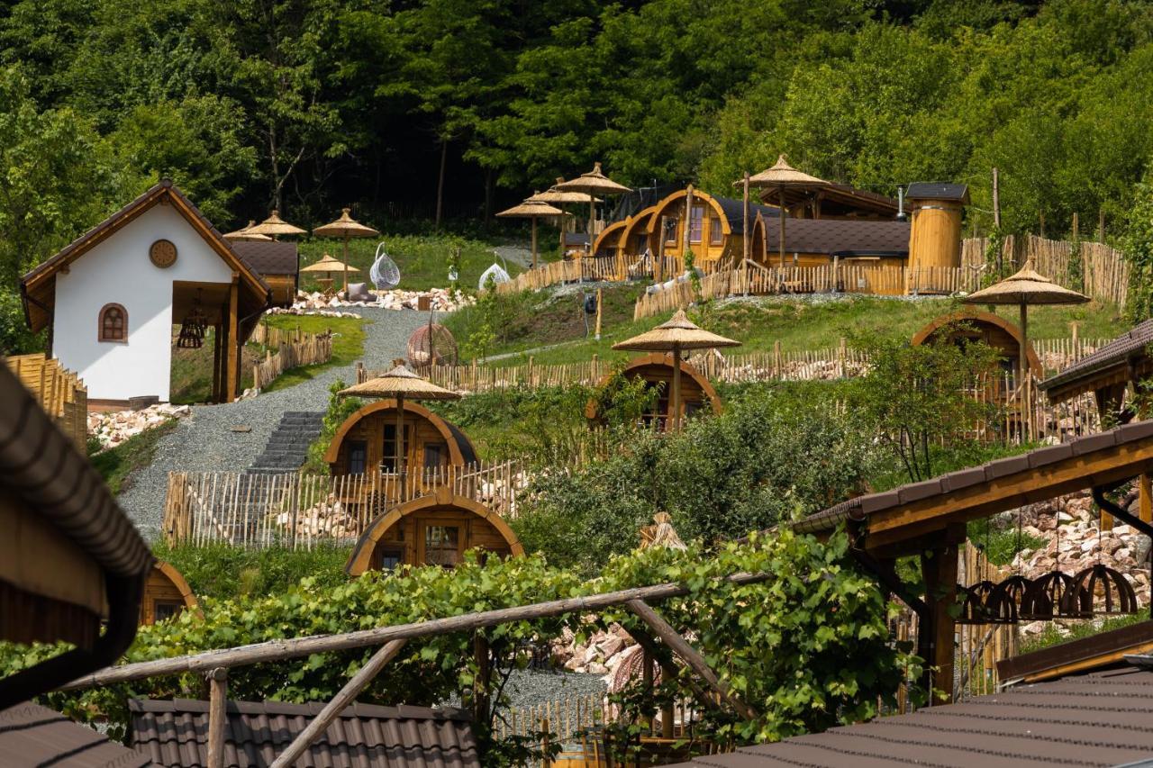 Complex Butoaiele Transilvaniei - Cazare & Spa - Natura - Relaxare Mediaş Exterior foto