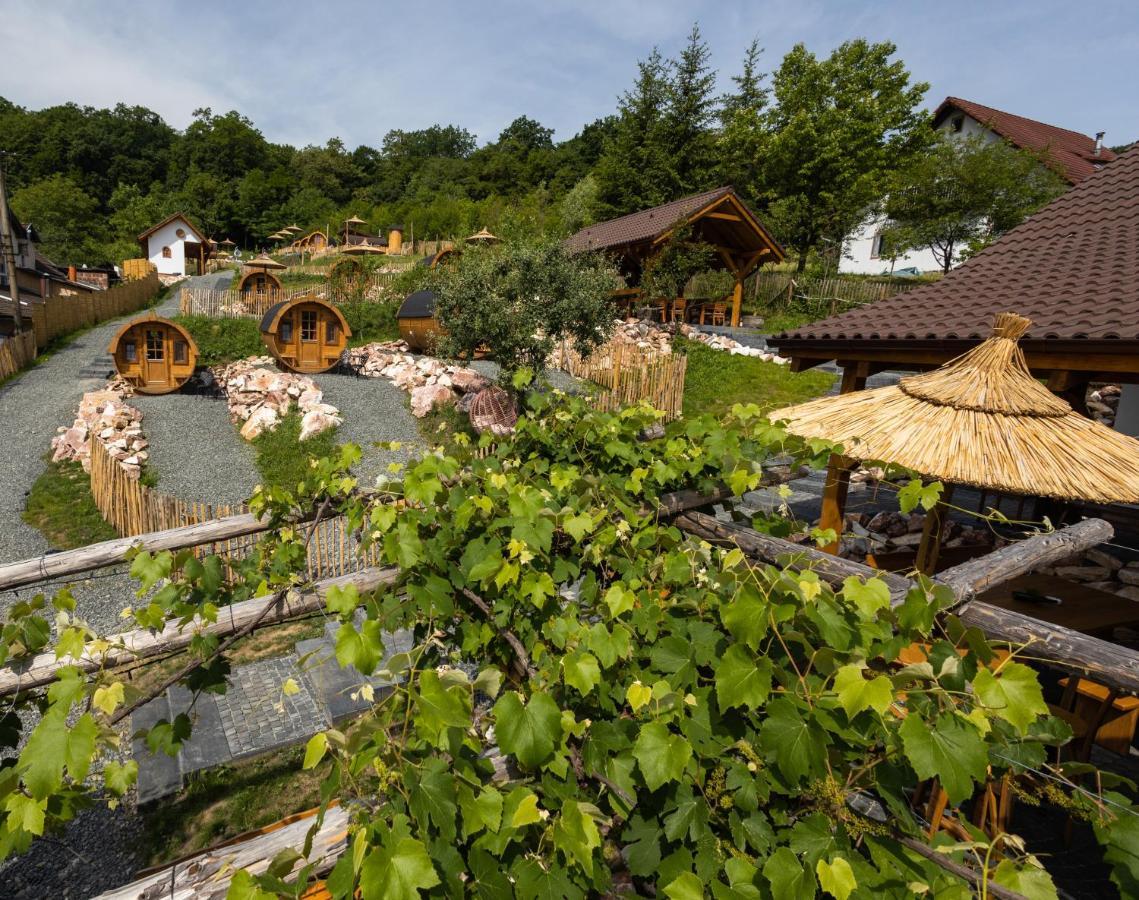 Complex Butoaiele Transilvaniei - Cazare & Spa - Natura - Relaxare Mediaş Exterior foto