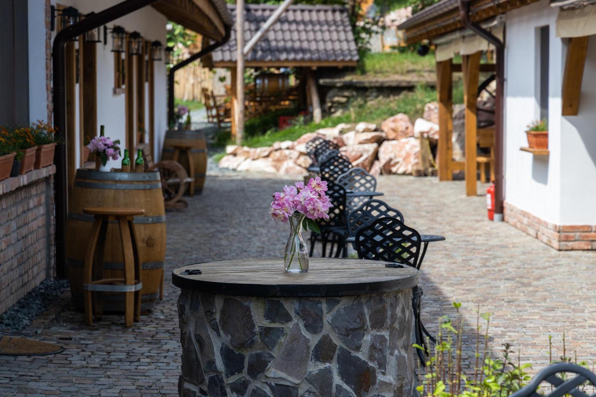 Complex Butoaiele Transilvaniei - Cazare & Spa - Natura - Relaxare Mediaş Exterior foto